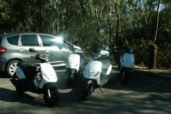 Scooter Wildlife & Sunset Tour - A Small Group With a Personal Feel