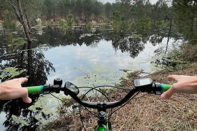 Seignosse electric scooter excursion - Through the Landes pine forest