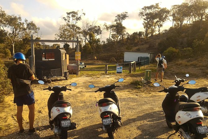 Self Guided Agnes to 1770 Scooter Hire - Finding beaches, back streets, and wildlife