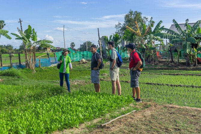 Siem Reap Countryside Sunset Vespa Tour / Tuk Tuk Available - Wat Po Banteaychey and the roadside route