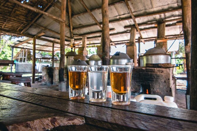 Siem Reap Countryside Sunset Vespa Tour / Tuk Tuk Available - Timing, comfort, and practical concerns