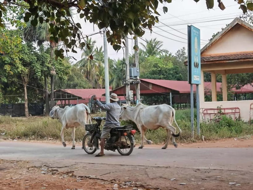 Siem Reap: Monk Blessings and Village Life Scooter Tour - Tasting Banh Chhev near West Baray