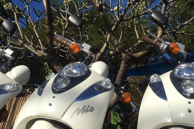 Single Passenger Moped/Scooter - 18+ NO Motorcycle License Needed - How the Rental Compares With a Car