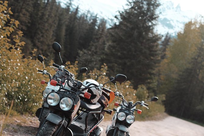 Skagway Scooter Gold Rush Adventure - Jewell Gardens and the return ride