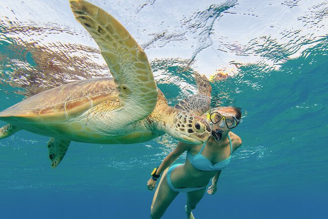 Snorkeling with Turtle/Water Scooter/Paddleboard Adventures Oahu - Paddleboarding adds a change of pace