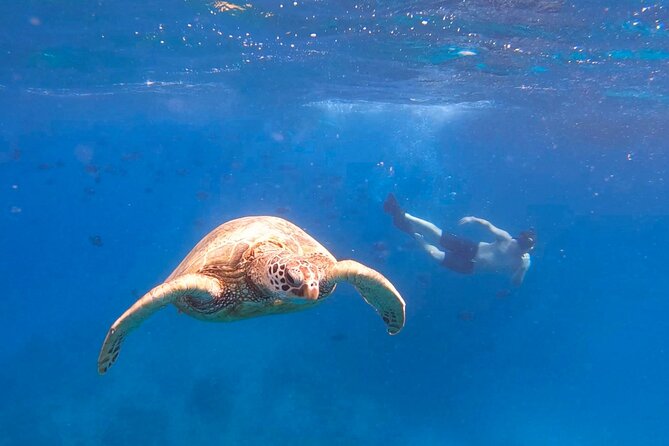 Snorkeling with Turtle/Water Scooter/Paddleboard Adventures Oahu - Diamond Head Crater brings a famous Oahu setting