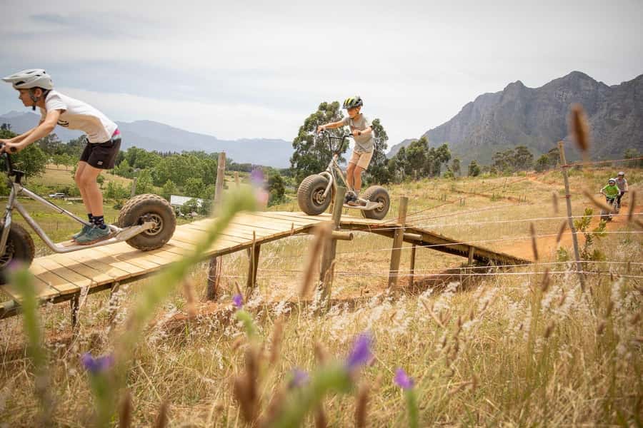 Stellenbosch Winelands downhill gravity Scooter - Key points at a glance