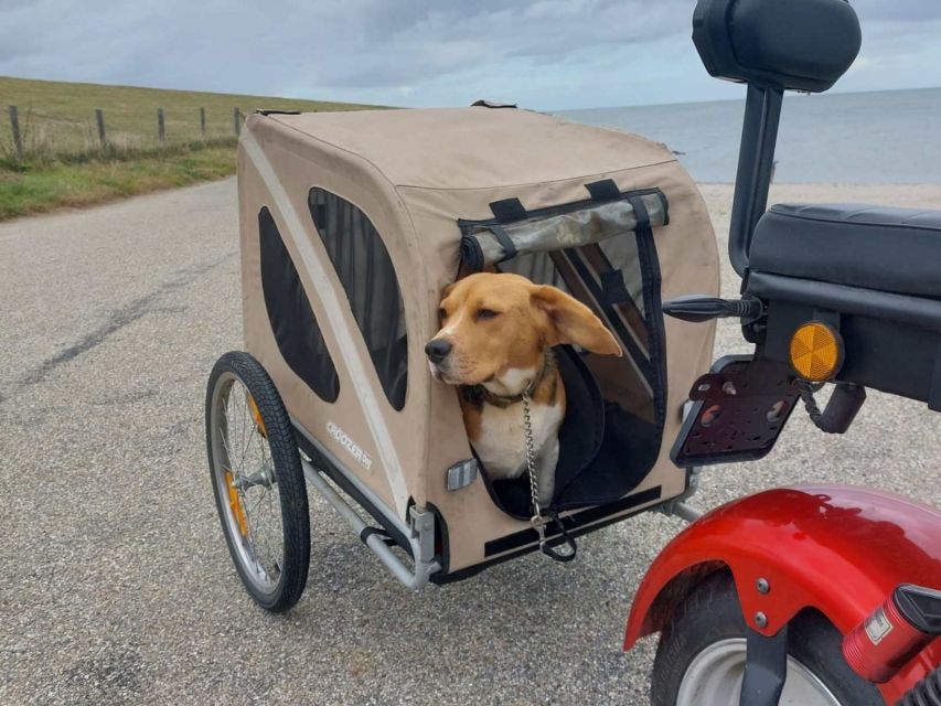Texel: E-Scooter Rental - Key points to know before you ride