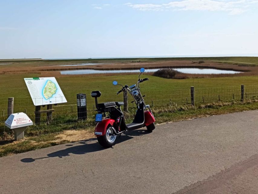 Texel: E-Scooter Rental - A three-hour route through Texel