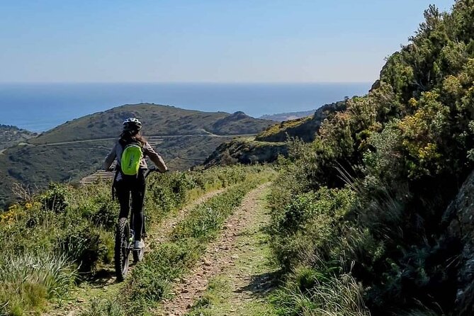 The Collioure Tops on Electric Scooters - Is $694 good value?