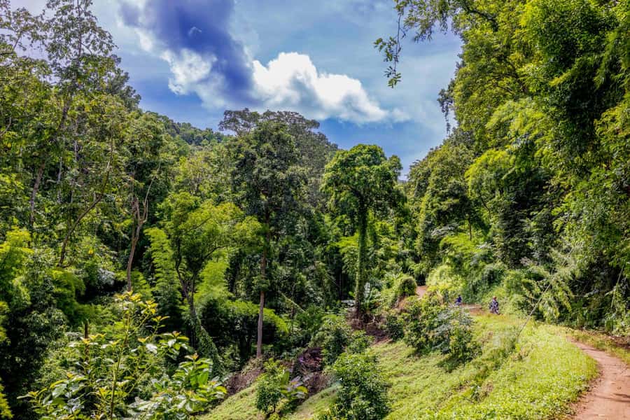 The REAL Thailand on a scooter. Check reviews !! - The guides are a major part of the value
