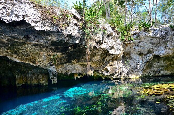 Tulum Area Guided Scooter Tour to 3 Cenote's, Snorkel/Swim & Local Lunch - Three cenotes, one moving day