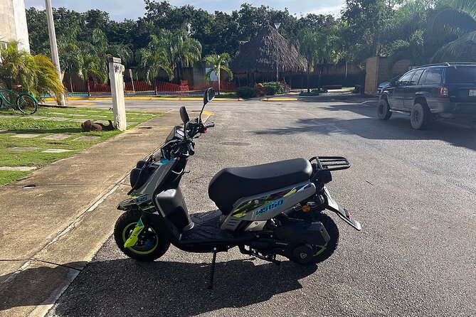 Tulum Area Guided Scooter Tour to 3 Cenote's, Snorkel/Swim & Local Lunch - Cenote Escondido finishes the water stops