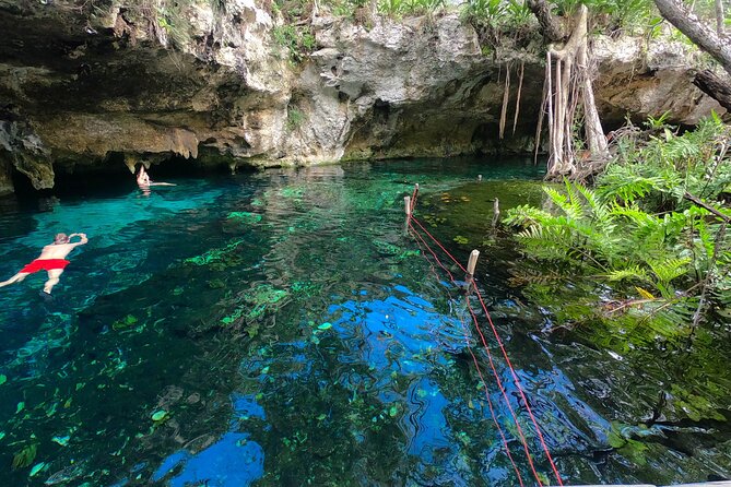 Tulum Area Guided Scooter Tour to 3 Cenote's, Snorkel/Swim & Local Lunch - Gran Cenote gives the morning a strong start