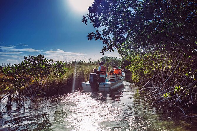 Tulum Guided Scooter Tour, Muyil Ruins, Boat Eco, Float Down Mayan Canals Lunch - Price, pickup, and timing