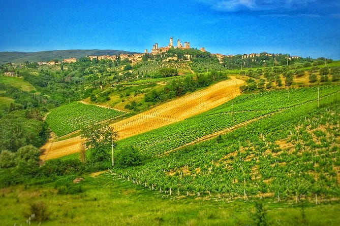 Tuscany Vespa Tour from Florence with Wine Tasting - The guides make the difference