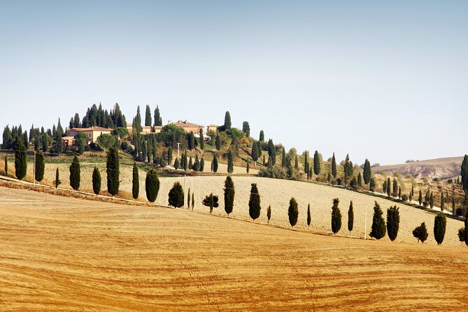 Vespa Tour with Lunch&Chianti Winery from Siena - The important points before you book