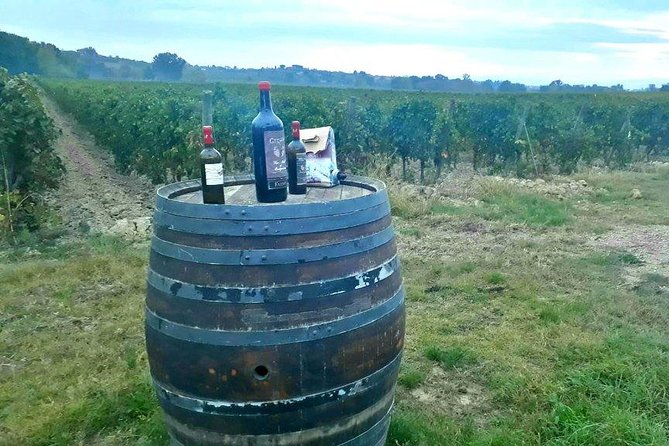 Vespa Tour with Lunch&Chianti Winery from Siena - What the $168.36 price really covers