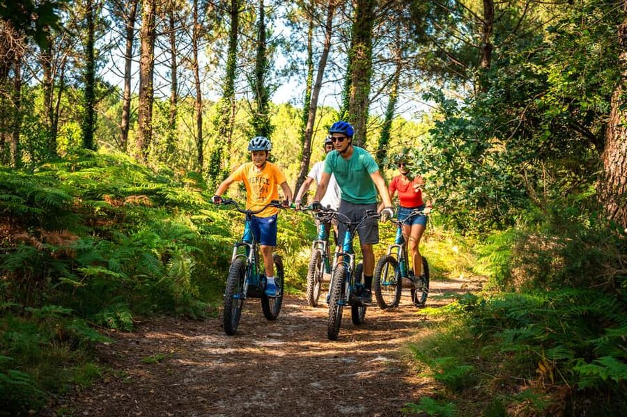 Visit Hossegor on an all-terrain electric scooter - with a guide - Eighty minutes through Hossegor’s pine forest