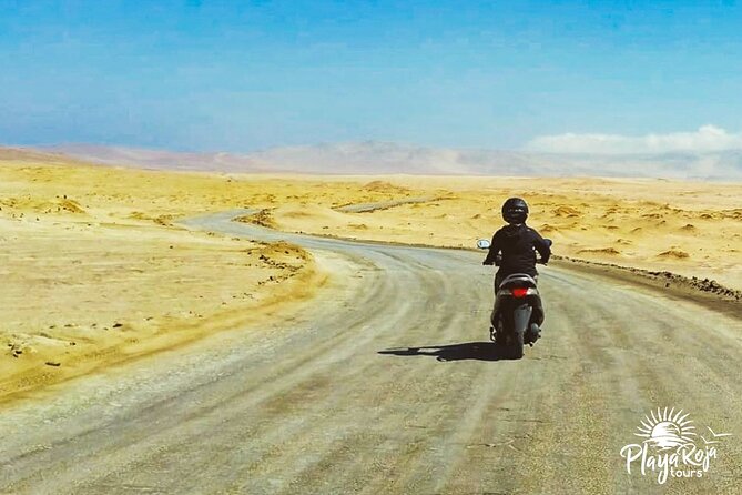 Visit the Paracas National Reserve on a SCOOTER - How Much Time Should You Rent?